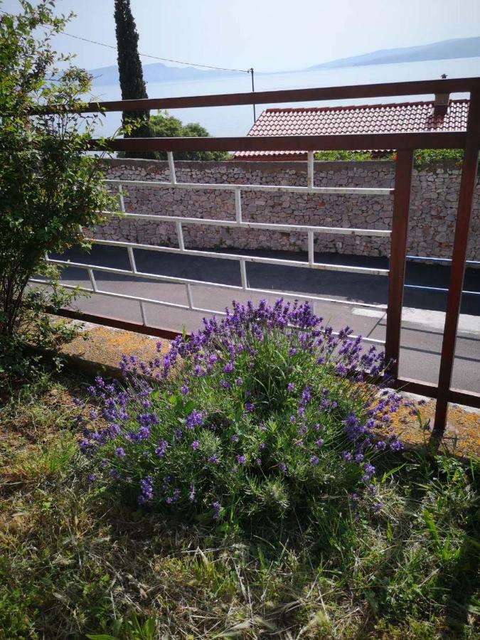 Apartmani Krijesnica 塞尼 外观 照片